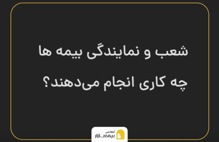 فعالیت شعب و نمایندگی های بیمه