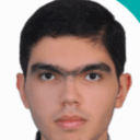 امیرعلی ریشه