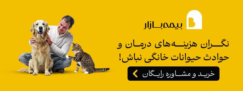 بیمه حیوانات خانگی یا پت