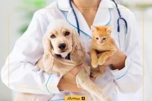 بیمه حیوانات خانگی
