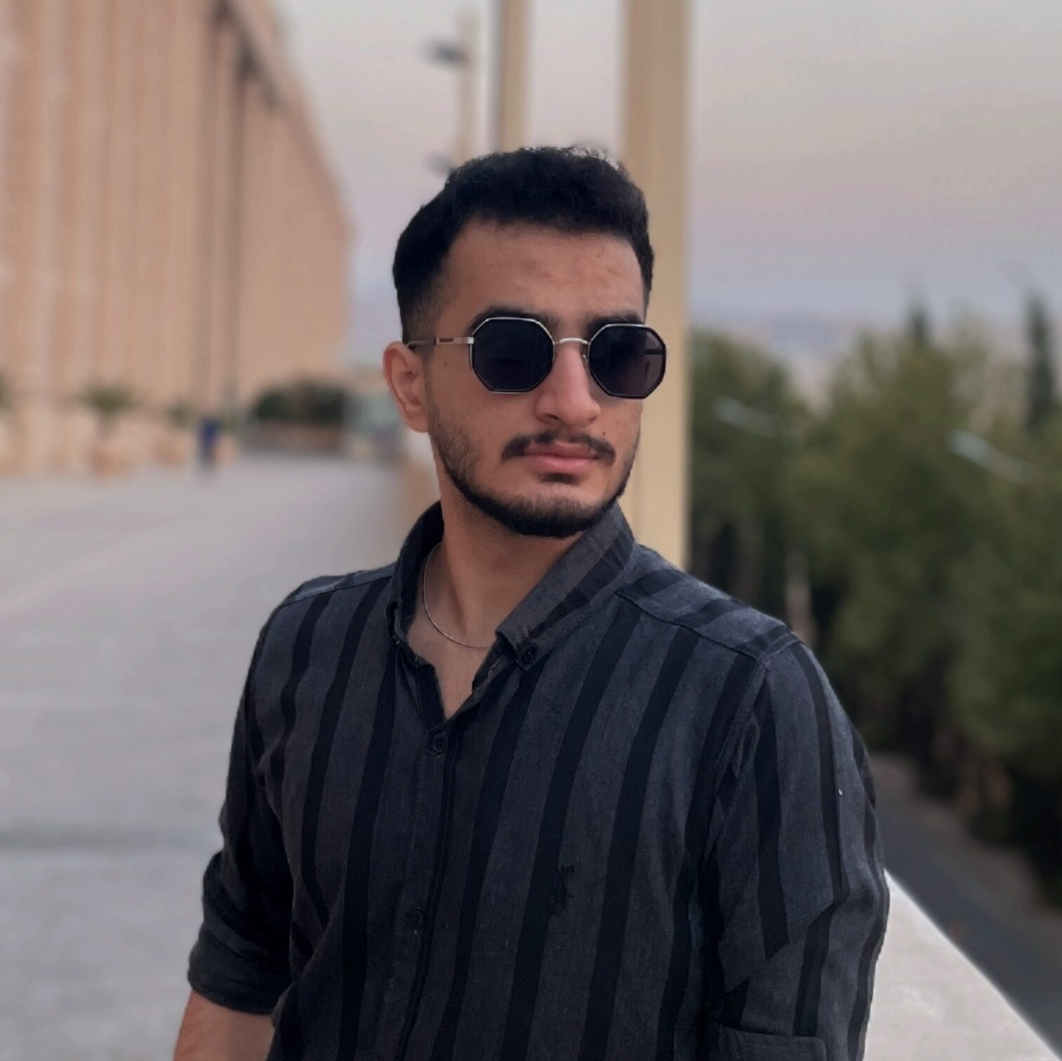 امیر رضا جمالی