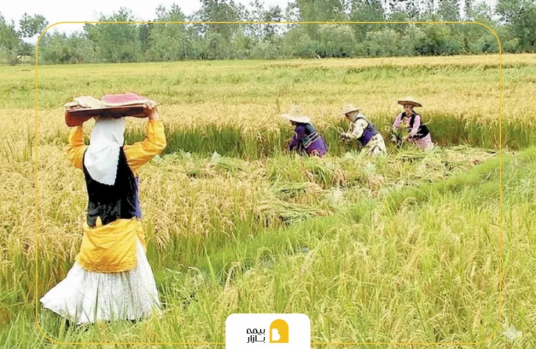 سن بازنشستگی بیمه روستایی زنان و مردان