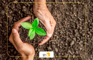 بیمه کشاورزی