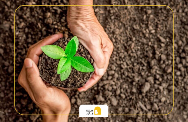 بیمه کشاورزی