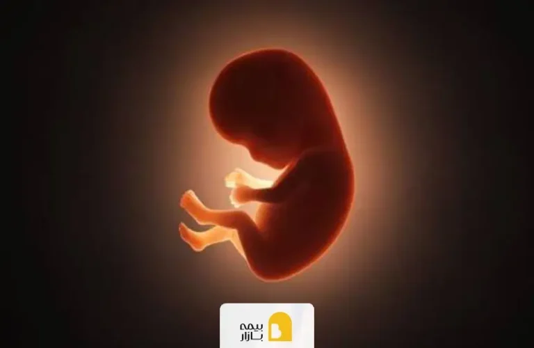 دیه جنین در تصادف